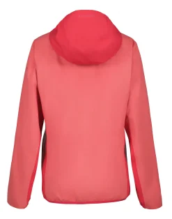 Clearance Dazey Ulkoilutakit|Ulkoilu