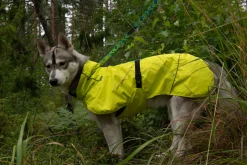 Best trike raincoat Koiran Sadetakit