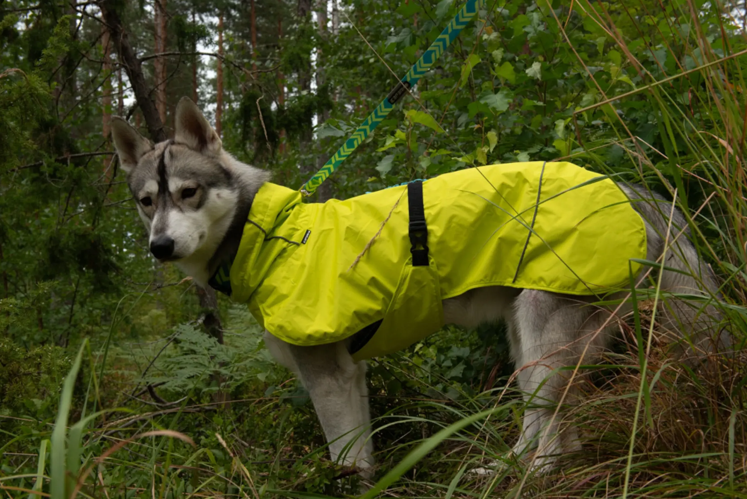 Best trike raincoat Koiran Sadetakit