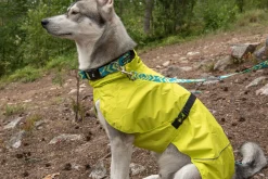 Best trike raincoat Koiran Sadetakit