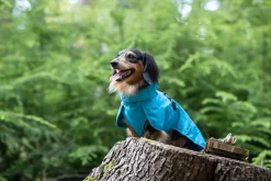 Best trike raincoat Koiran Sadetakit