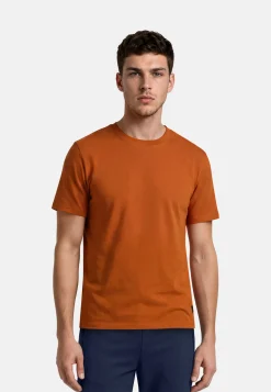Sale Provin T-Paidat