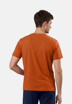Sale Provin T-Paidat