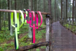 Outlet Bi neon coar Koiran Pannat