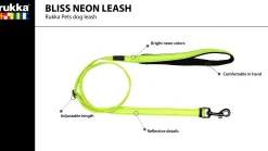 Best Bi neon eah Koiran Talutushihnat