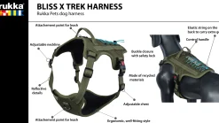 Online Bi x trek Harne Koiran Valjaat