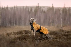 New Bubble Coat Koiran Talvitakit