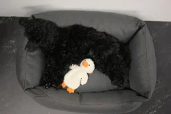 Online Calm Duck Toy Lelut