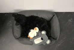 Online Calm Duck Toy Lelut