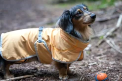 Best Crisp Cooling UV Jacket Turvavarusteet