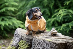 Best Crisp Cooling UV Jacket Turvavarusteet