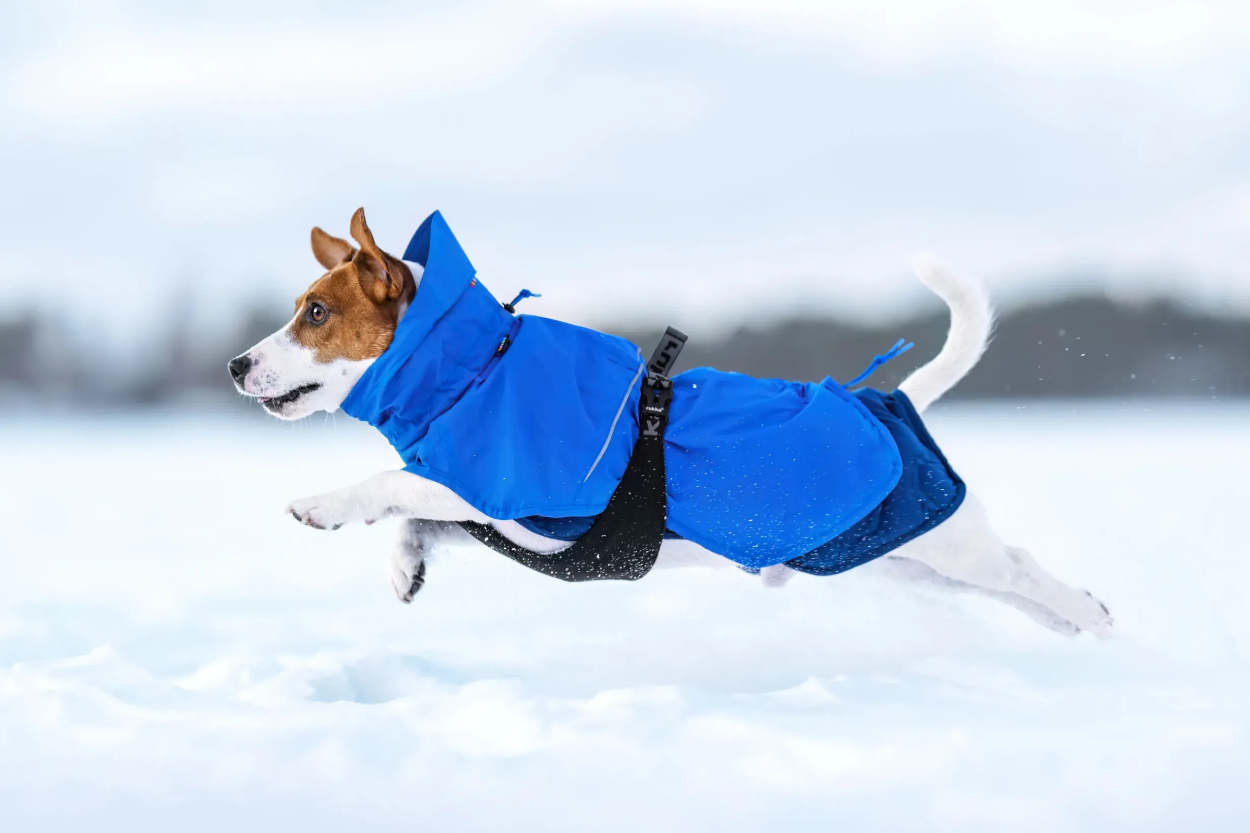 Online Discovery 3In1 Coat Koiran Talvitakit