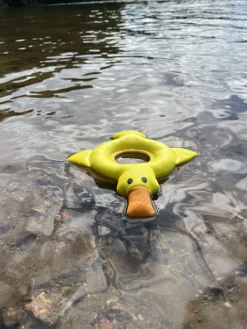 Outlet Duck Floating Toy Lelut