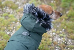 Hot Frostbiter parka Koiran Talvitakit