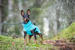 Sale Hase raincoat Koiran Sadetakit