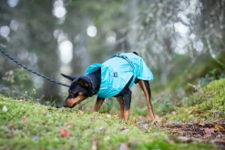 Sale Hase raincoat Koiran Sadetakit