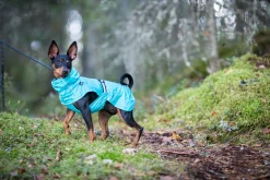 Sale Hase raincoat Koiran Sadetakit
