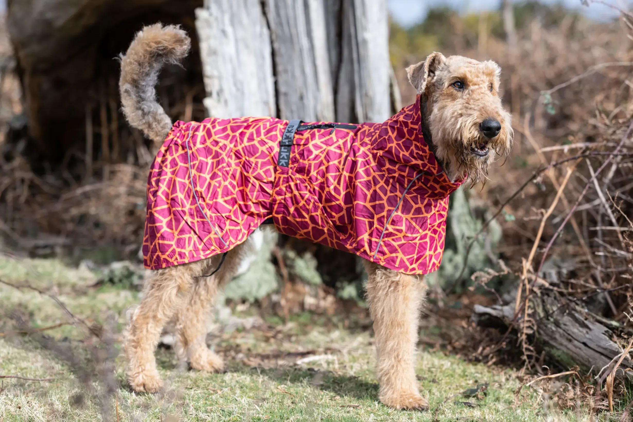 Hayton warm raincoat Koiran Sadetakit
