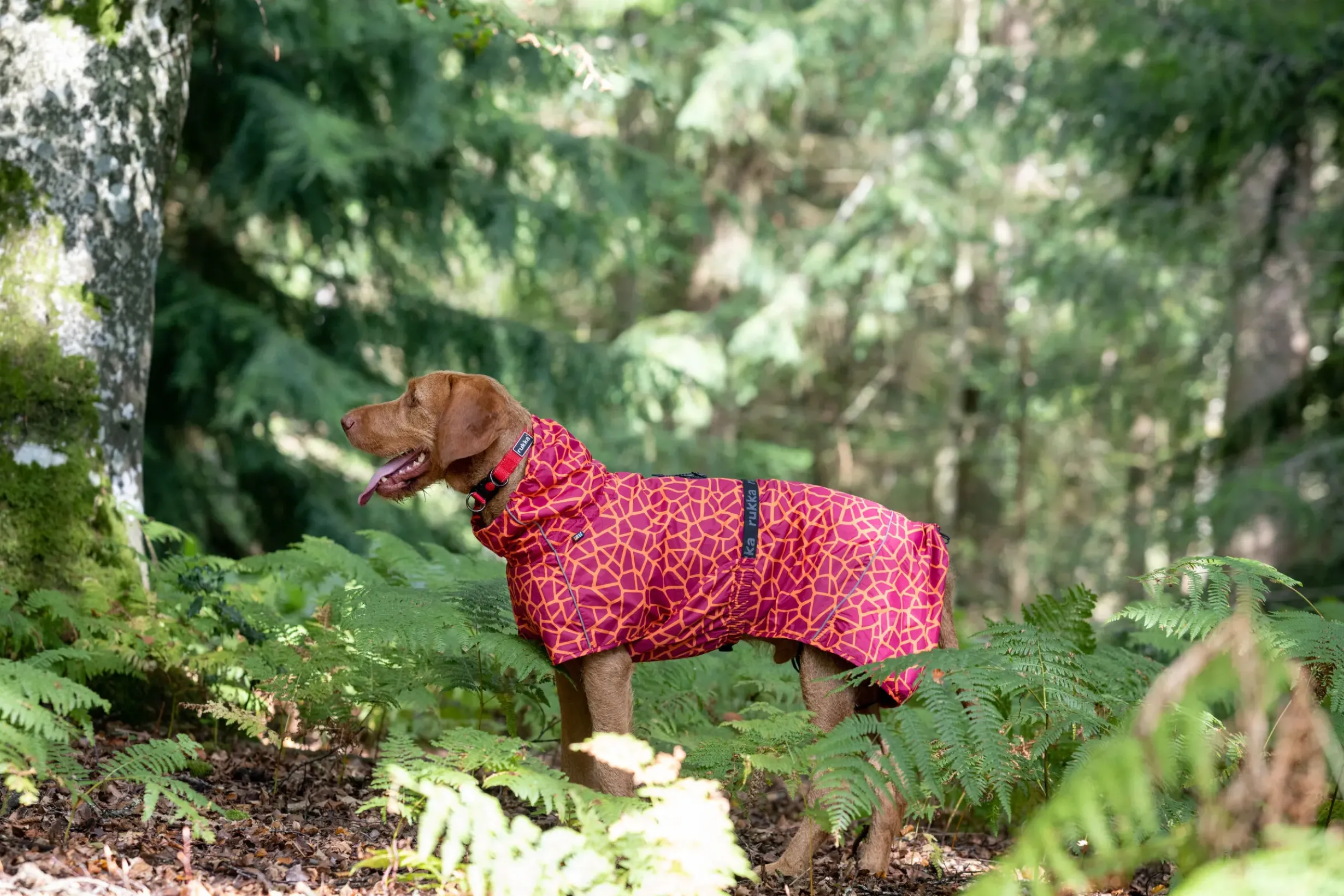 Hayton warm raincoat Koiran Sadetakit