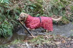 Hayton warm raincoat Koiran Sadetakit