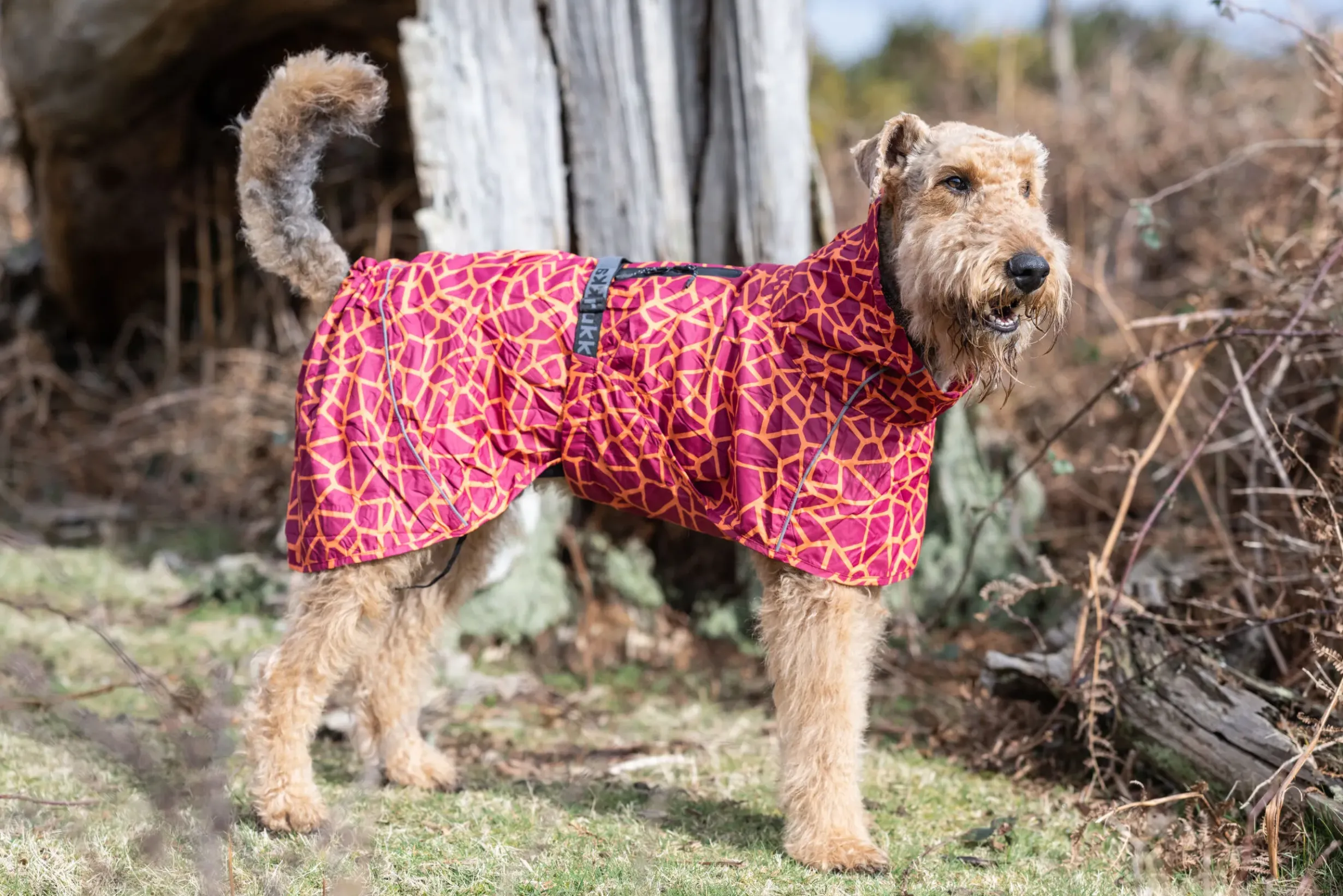 Hayton warm raincoat Koiran Sadetakit