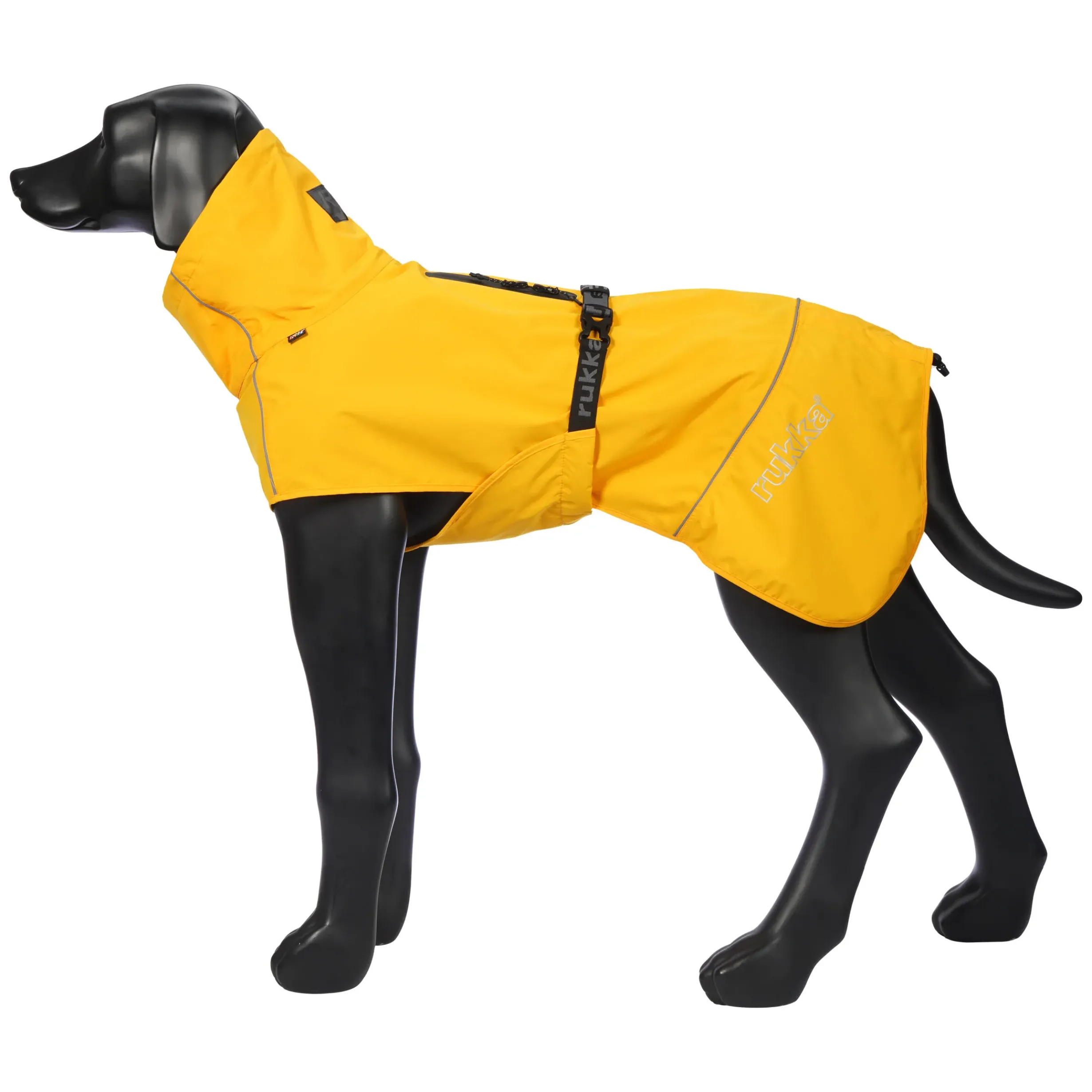 New Hayton x raincoat Koiran Sadetakit