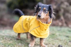 New Hayton x raincoat Koiran Sadetakit