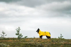 New Hayton x raincoat Koiran Sadetakit