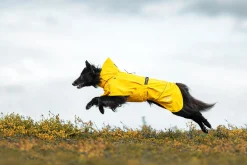 New Hayton x raincoat Koiran Sadetakit