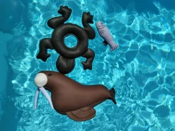New Herring Floating Toy Lelut