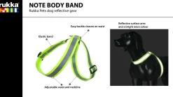 Clearance Note Body Band Turvavarusteet