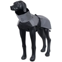 Best Shine raincoat Koiran Sadetakit