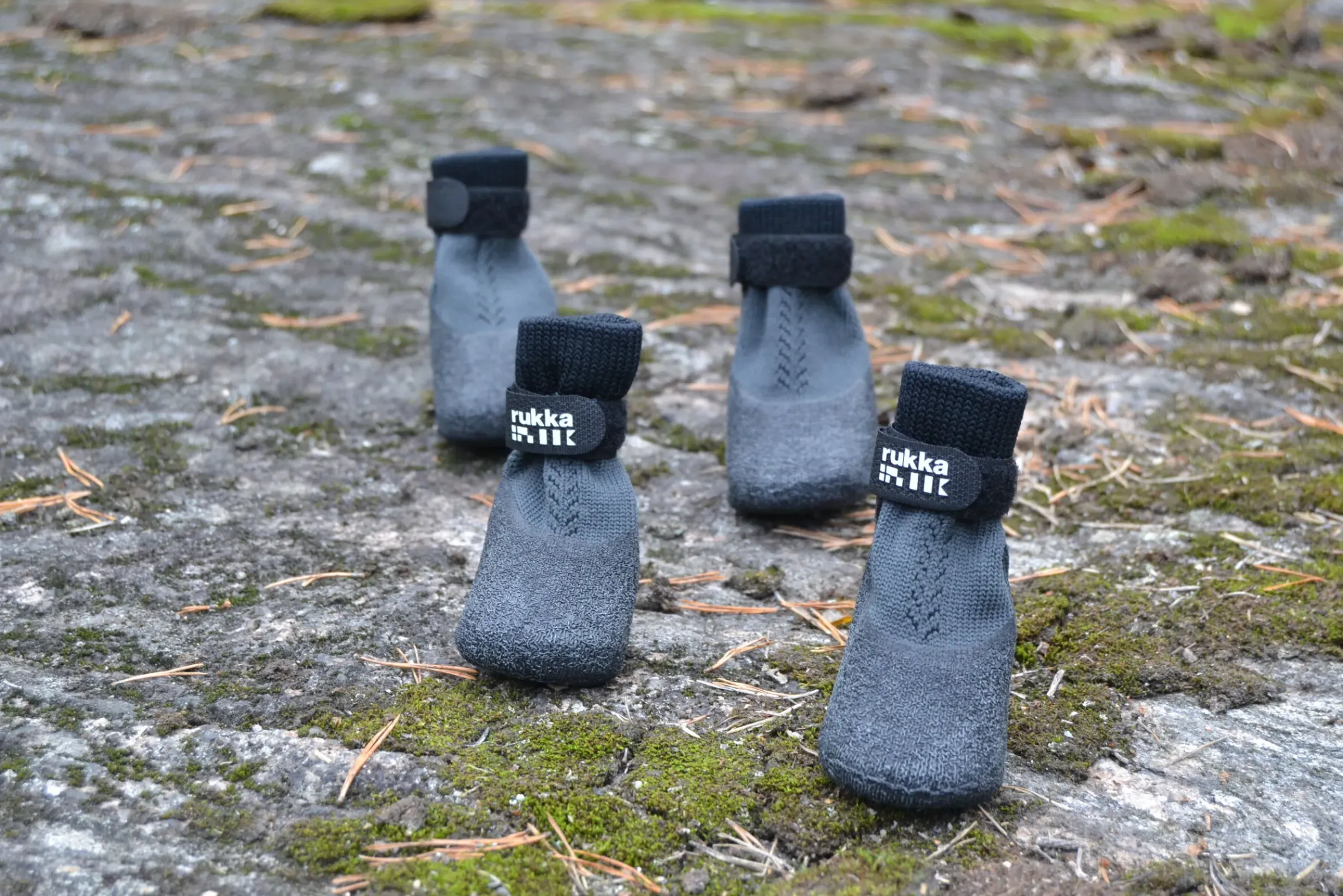 Best Sock shoes pcs Koiran Tossut