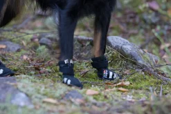 Best Step shoes Tarvikkeet|Koiran Tossut