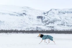 Best Stormy coat Koiran Talvitakit