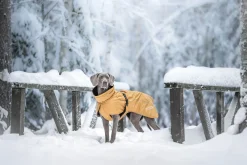 Best Stormy coat Koiran Talvitakit