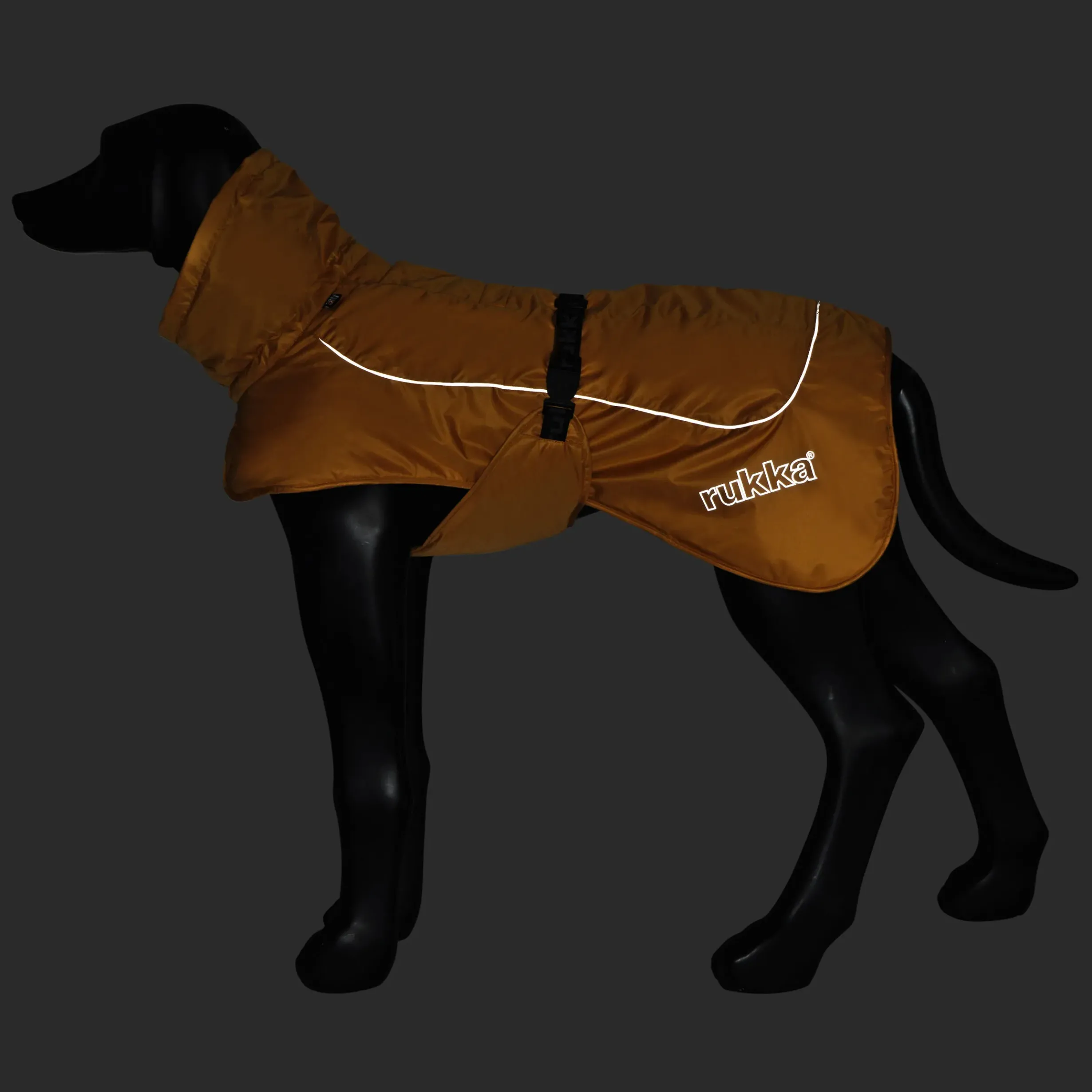 Best Stormy coat Koiran Talvitakit