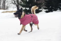Clearance Stormy coat Koiran Talvitakit