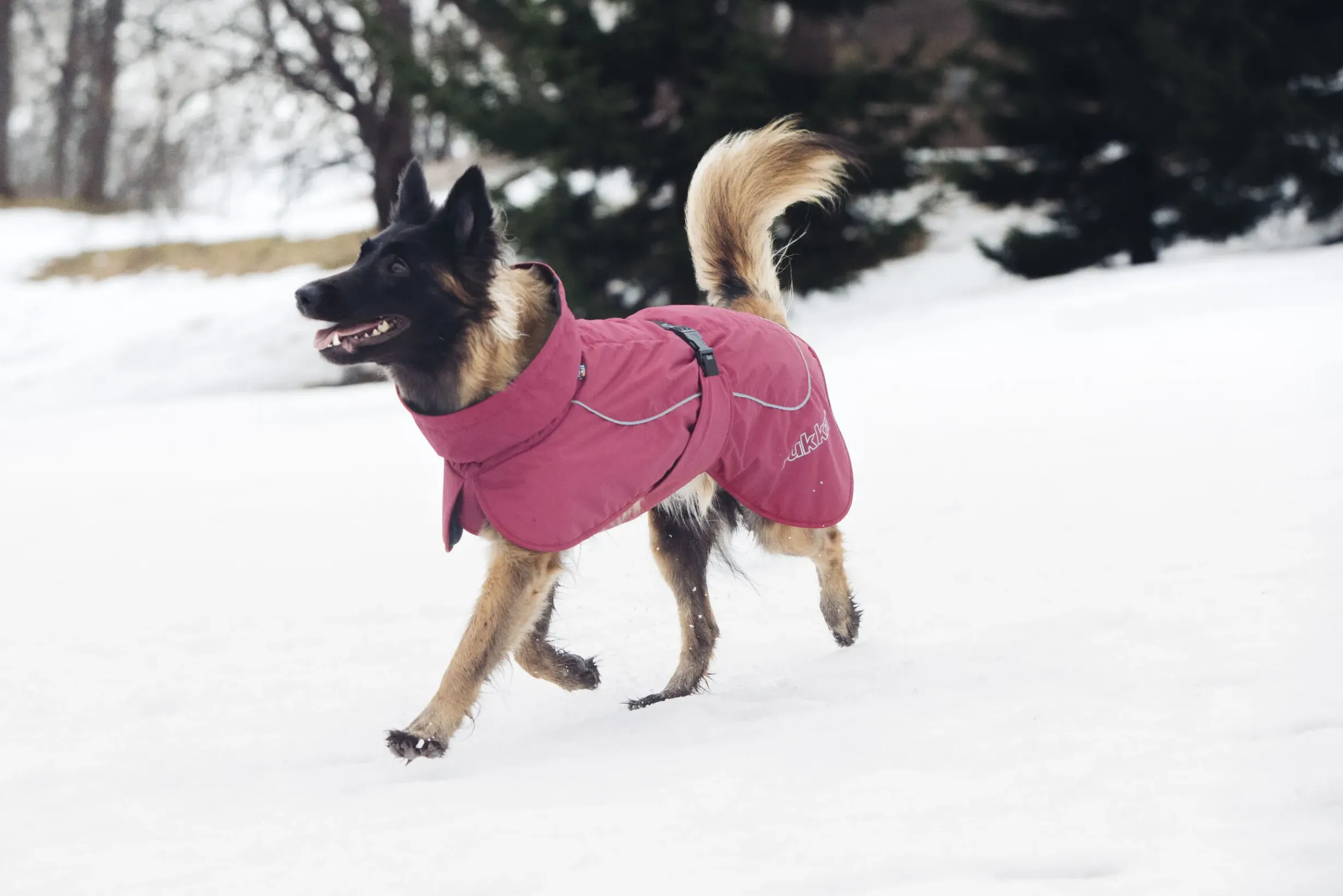 Clearance Stormy coat Koiran Talvitakit