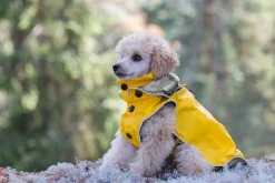 Outlet Stream raincoat Koiran Sadetakit