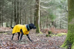 Outlet Stream raincoat Koiran Sadetakit