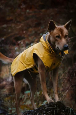 Outlet Stream raincoat Koiran Sadetakit