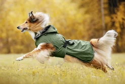 Streamy X raincoat Koiran Sadetakit
