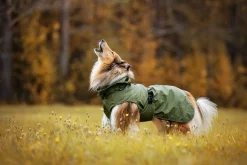 Streamy X raincoat Koiran Sadetakit