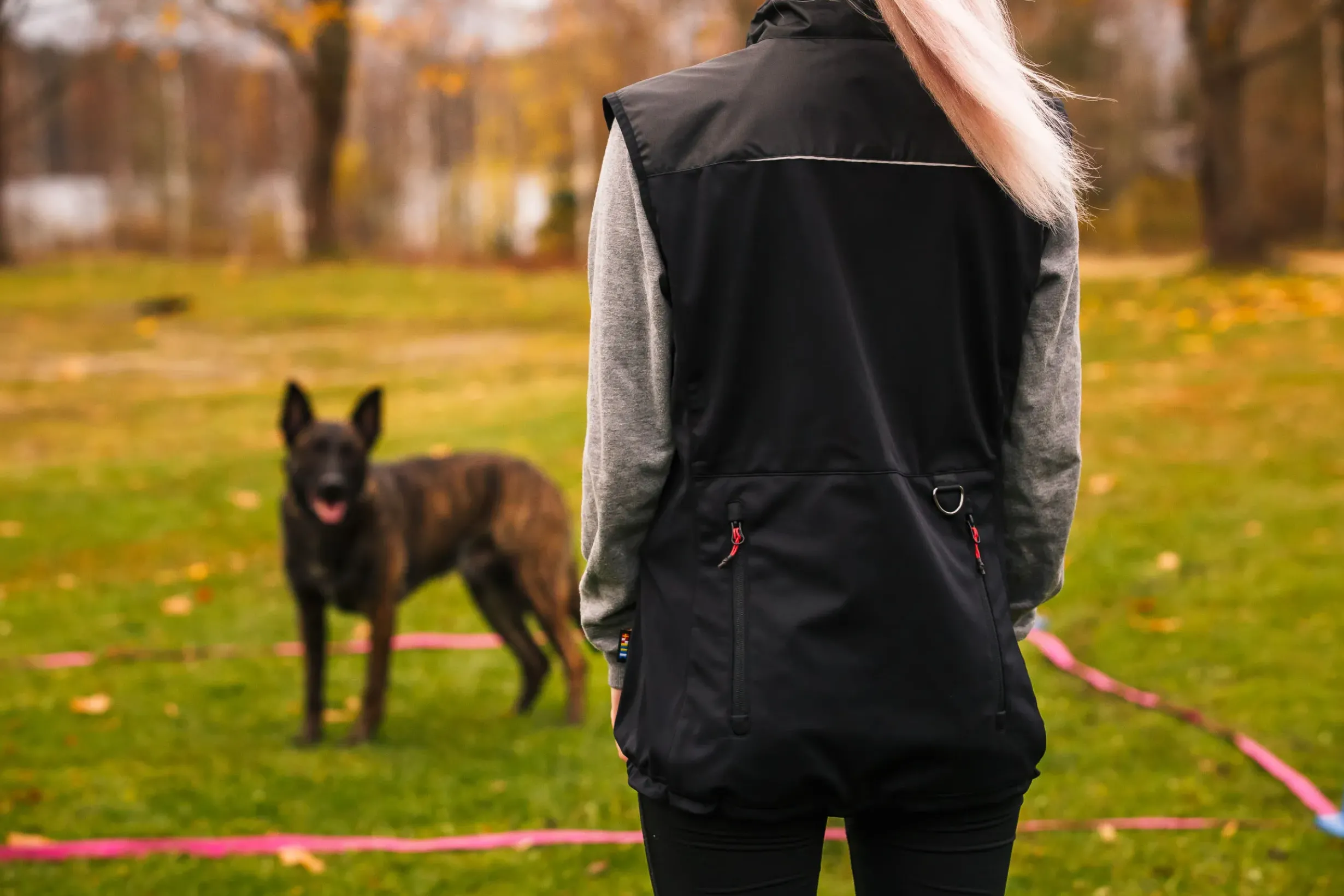 Clearance Training vet Tarvikkeet