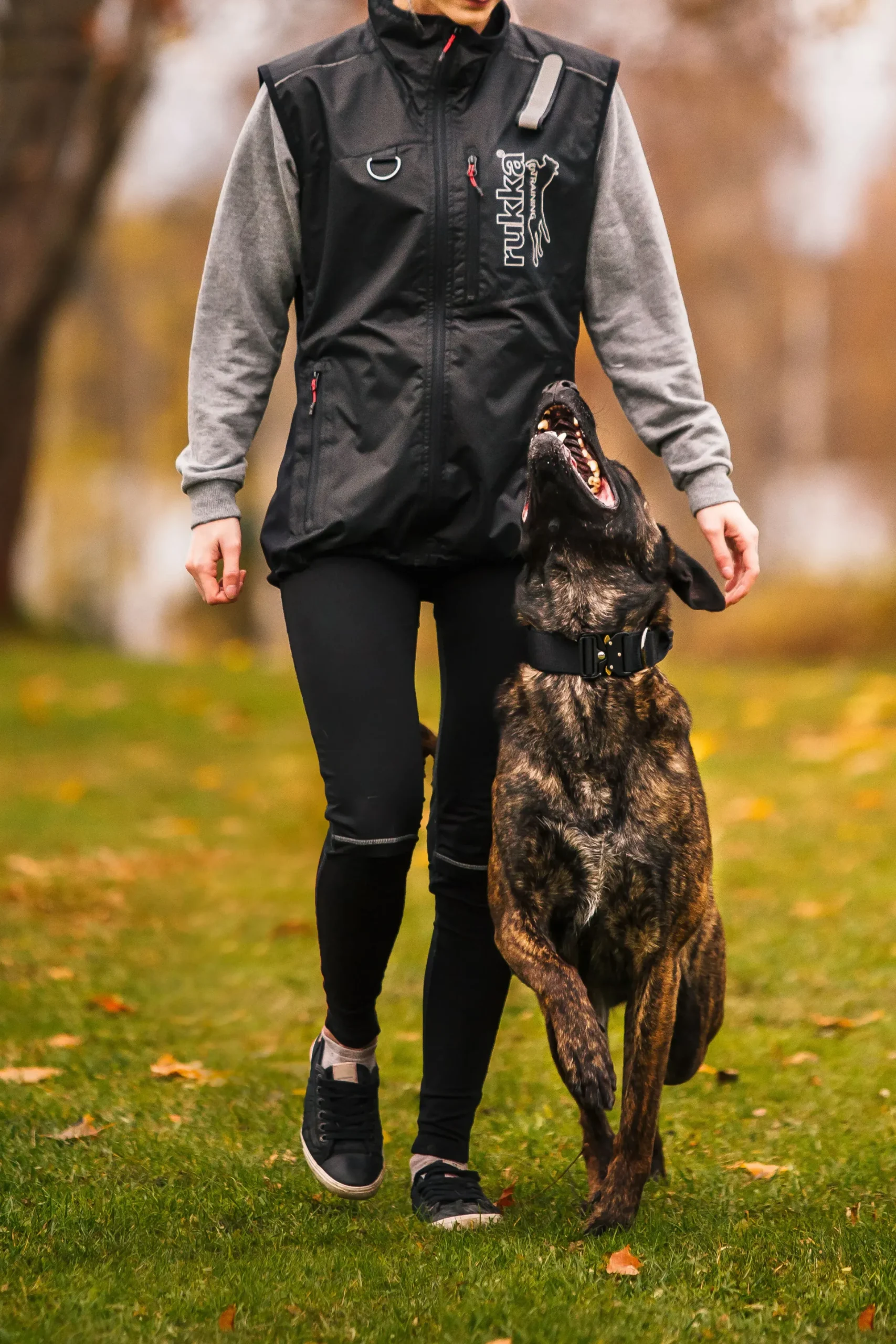 Clearance Training vet Tarvikkeet