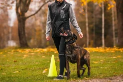 Clearance Training vet Tarvikkeet