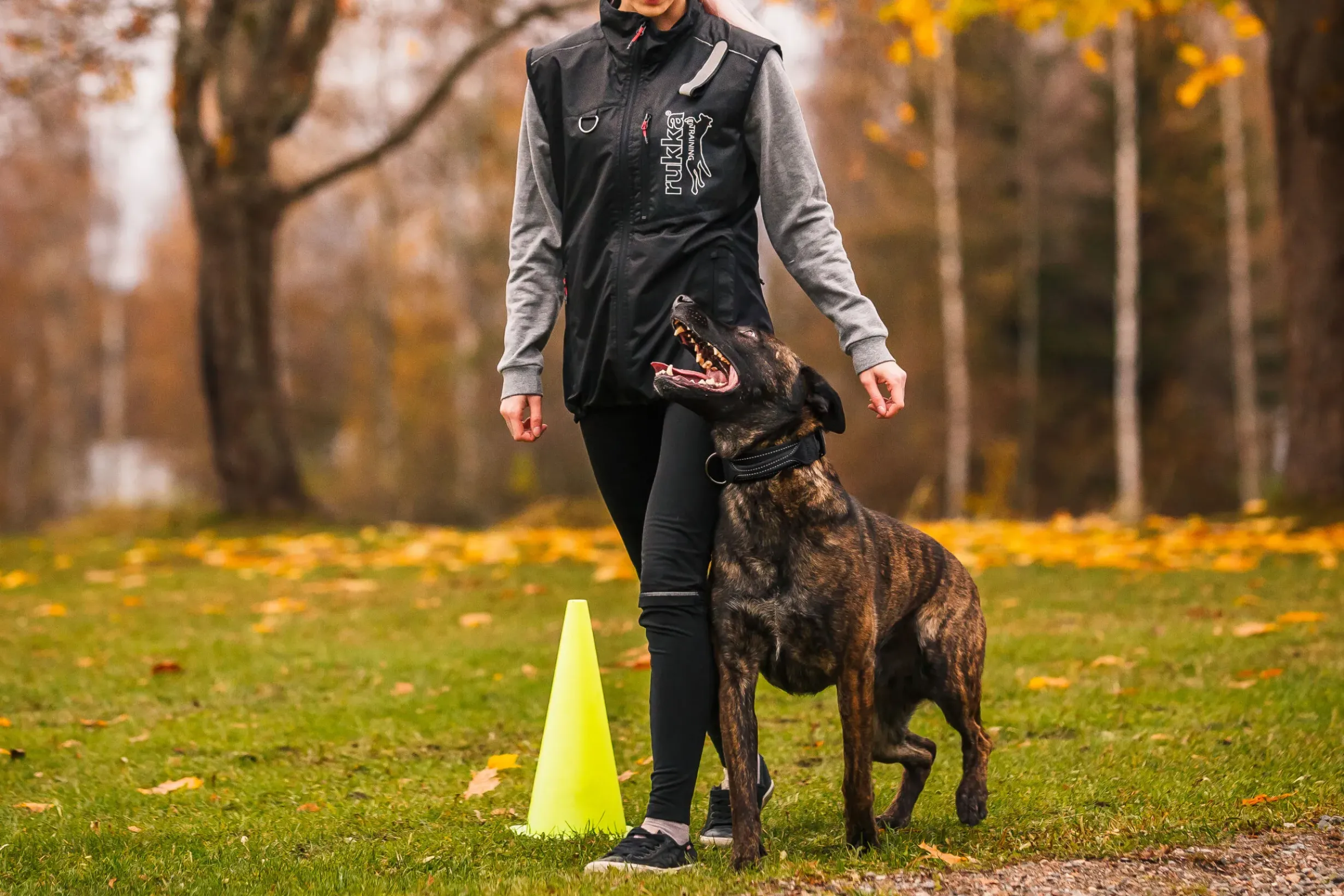 Clearance Training vet Tarvikkeet