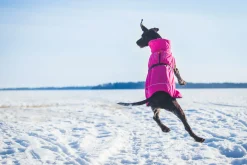 Sale Warmup coat Koiran Talvitakit