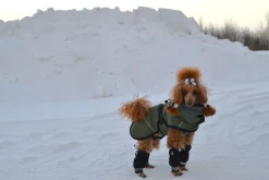 Sale Warmup 2.0 coat Koiran Talvitakit